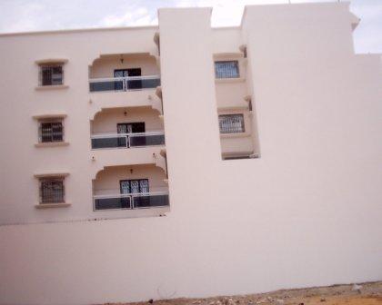 s1010216.jpg